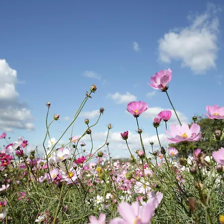 Hambachtal Family Hideaway Oberhambach