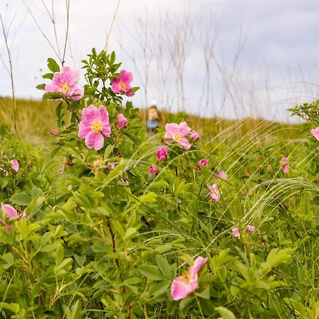 Hambachtal Family Hideaway Vakantiehuis