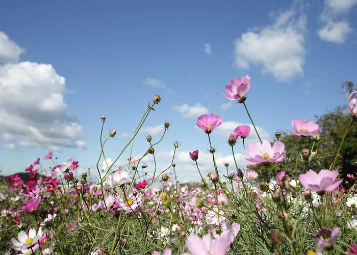 Hambachtal Family Hideaway Oberhambach