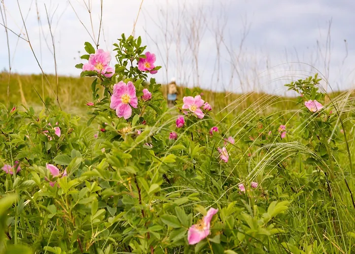 Hambachtal Family Hideaway Casa de Férias